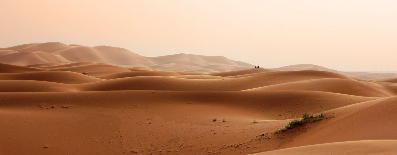 Bild: Wüste